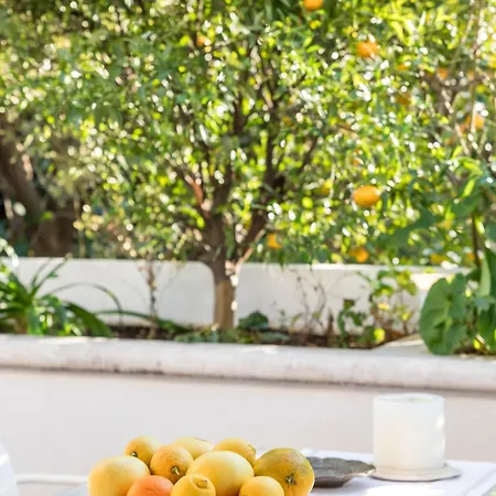 Mariuci With Lush Terrace And Private Garage Appartement